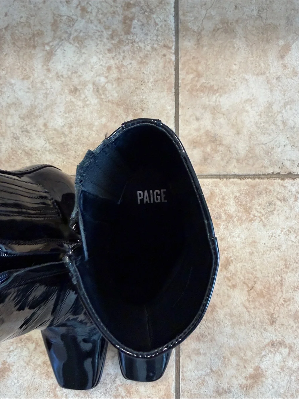 PAIGE shiny patent
